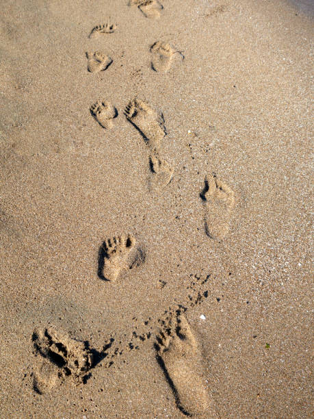 istock Sand background footprints at the seaside 1173178591