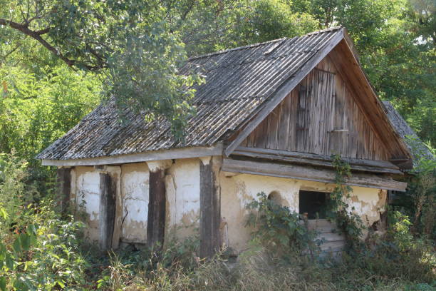 istock Old abandoned house in the forest. 1173178740