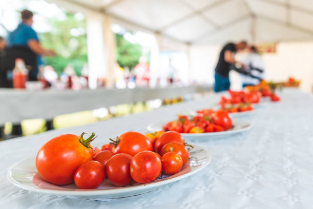 Background of tomatoes in a row
