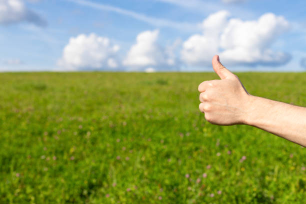 la mano dell'uomo mostra i pollici in su contro cielo blu e prato - hand sign human hand ok sign grass foto e immagini stock