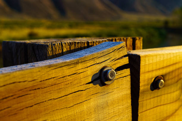 Metal Bolt Wood Grain Detail - Planks of wood in warm sunset light and focus on metal bolt on wood fence on bridge.