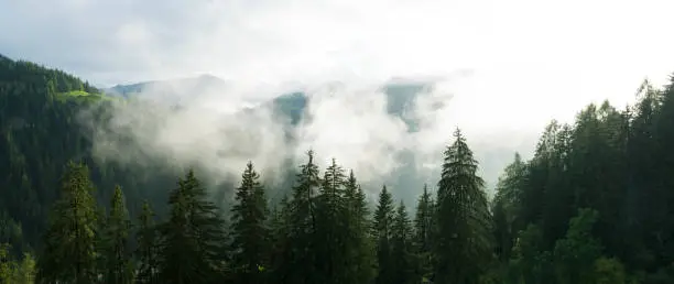 sun shining through fog and clouds after rain in a panorama forest and mountain landscape