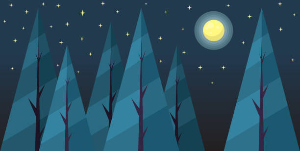 Night Landscape stock illustration Night, Sky, Moon, grass vector meadow spring stock illustrations