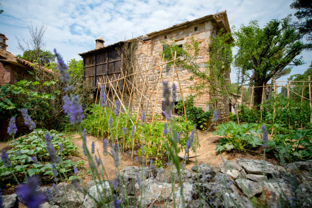 istock Old dalmatian stone house village 1173183947
