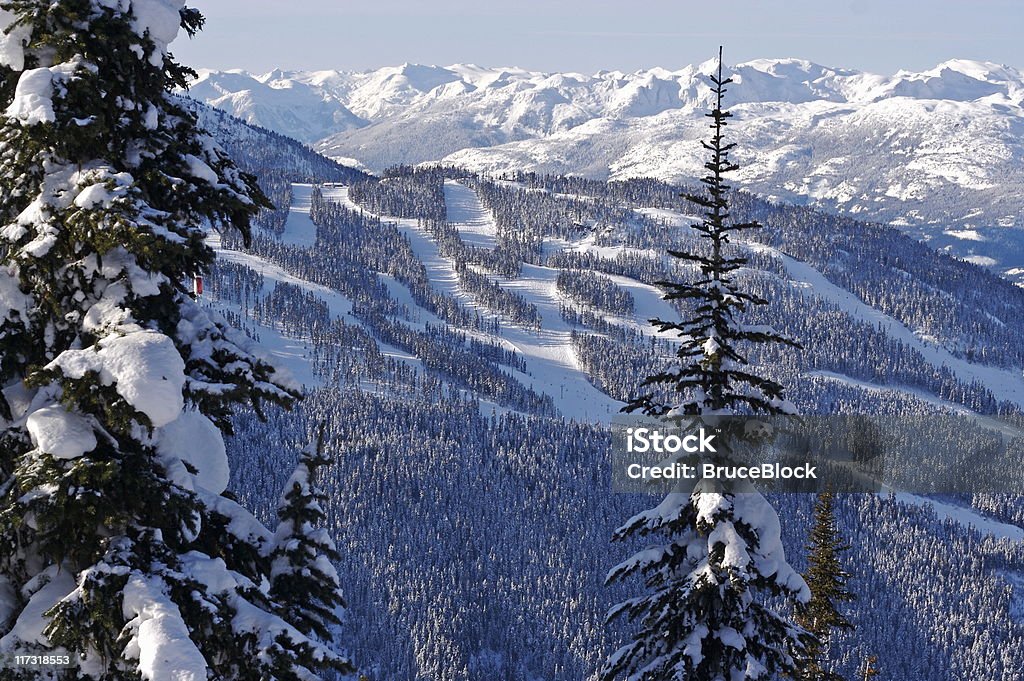 Paisaje de Whistler - Foto de stock de Abeto libre de derechos