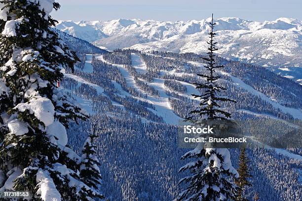 Paisaje De Whistler Foto de stock y más banco de imágenes de Abeto - Abeto, Aire libre, Bosque