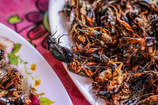 Thai insects Thai snack food insects black bodies orange brown legs on white plates with a pink patterned table cloth fried insects for snack thai food at market stock pictures, royalty-free photos & images