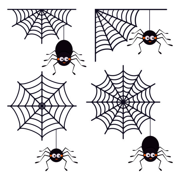 Vector set of different cute smiling black spiders hanging on a string of cobwebs with spederwebs icon isolated on white background. Set of different cute smiling black spiders hanging on a string of cobwebs with spederwebs icon isolated on white background. Flat style vector illustration. Animal character for Halloween design. spider web stock illustrations