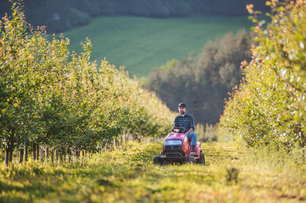 istock A mature farmer driving mini tractor outdoors in orchard. 1173187899