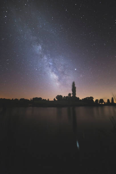 istock The bright starry sky in the night forest 1173190497