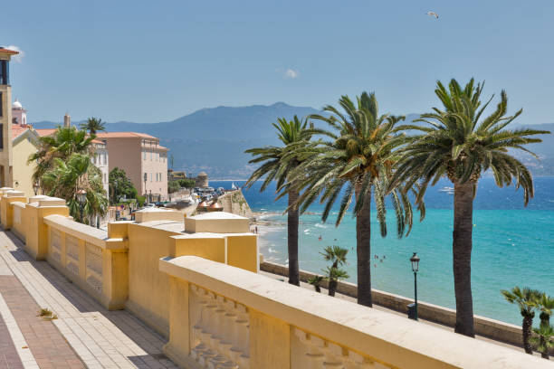 paisaje urbano de la playa de ajaccio. isla córcega, francia. - sunny day sunlight seagull fotografías e imágenes de stock