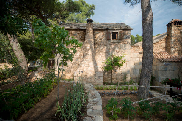 Orange flowers cascading over a weathered stone wall, adding a touch of color to the historic charm of antalya