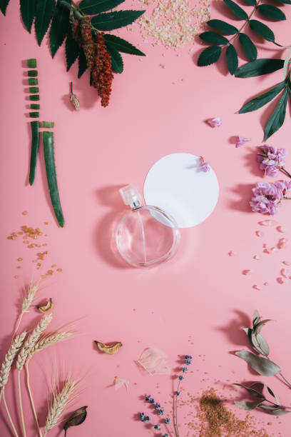 istock Transparent perfume bottle in flowers on pink background with white circle shape. Spring background with aroma parfume. Flat lay 1173192436