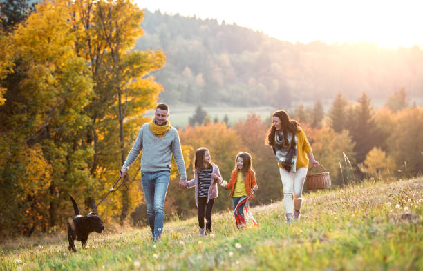 una familia joven con dos niños pequeños y un perro en un paseo en la naturaleza otoñal. - autumn women leaf scarf fotografías e imágenes de stock