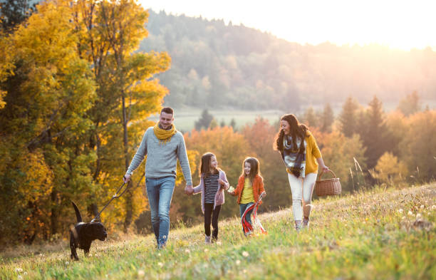una giovane famiglia con due bambini piccoli e un cane in una passeggiata nella natura autunnale. - autumn women leaf scarf foto e immagini stock