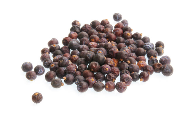 istock A pile of dried juniper berries with white background 1173196572
