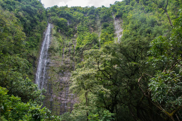 istock Tall waterfalls in the rainforest 1173199230
