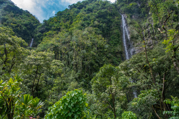 istock Tall waterfalls in the rainforest 1173200034