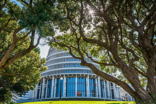 budynek parlamentu beehive między drzewami nowa zelandia wellington - central focus zdjęcia i obrazy z banku zdjęć