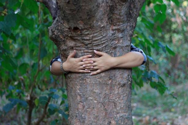 istock female hands hug a tree, girl hugs a tree 1173200794