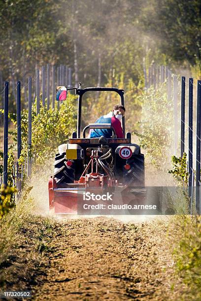 Agricoltore Con Trattore Immagine A Colori - Fotografie stock e altre immagini di Trattore - Trattore, Vista posteriore, Adulto