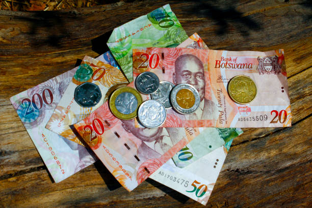 istock South african countries banknotes and coins for background. Botswana pula 1173205310