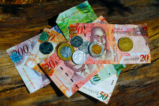 istock South african countries banknotes and coins for background. Botswana pula 1173205319