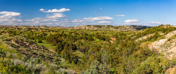 ノースダコタ バッドランズ セオドア ルーズベルト np - north american tribal culture photography color image horizontal ストックフォトと画像