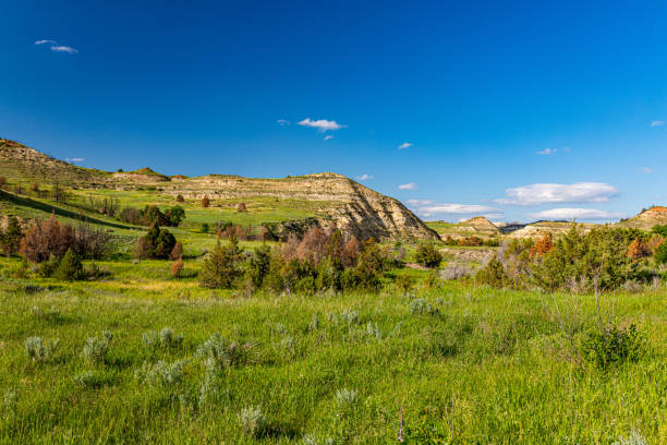 istock North Dakota Badlands Theodore Roosevelt NP 1173208190