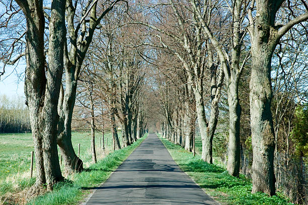 istock Road to the farm 117321026