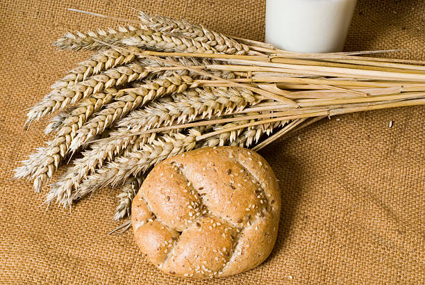 trigo - wheat winter wheat cereal plant spiked fotografías e imágenes de stock