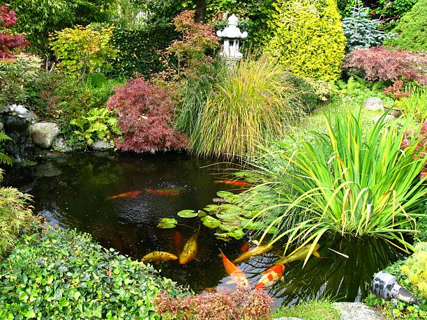 istock Japanese garden with koi-pond 117321773