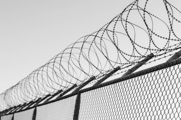 coils of razor wire on top of a wire mesh perimeter fence - razor wire imagens e fotografias de stock