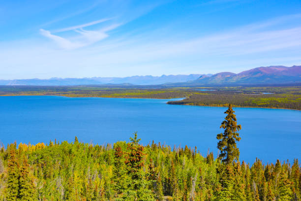 秋のクルアン国立公園、ユーコン、カナダ - alaska landscape scenics wilderness area ストックフォトと画像