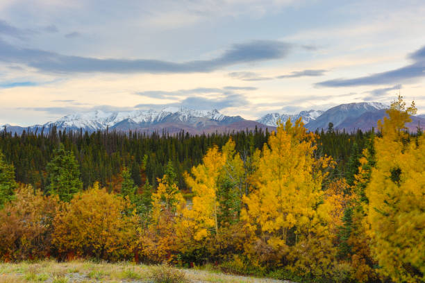 istock Kluane National Park at Fall, Yukon, Canada 1173221625