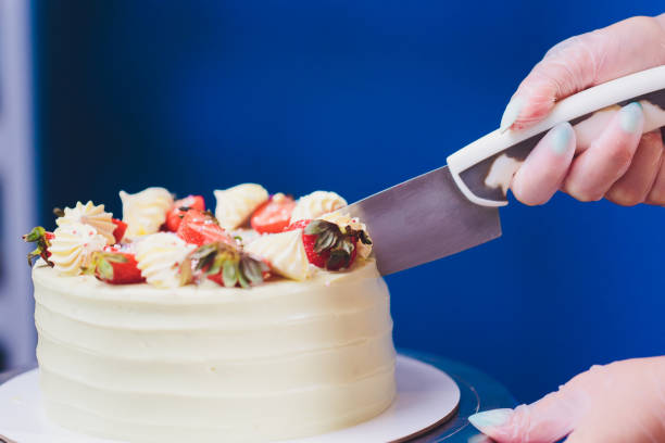 istock Vanilla ice cream cake with strawberry on top macro. 1173223210