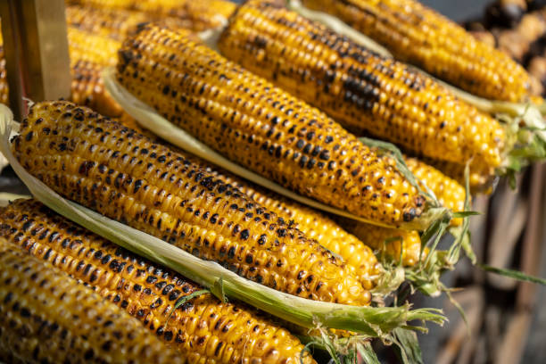 그릴 옥수수 판매 준비, 시장 장소. 화창한 날 - grilled corn vegetable corn on the cob 뉴스 사진 이미지