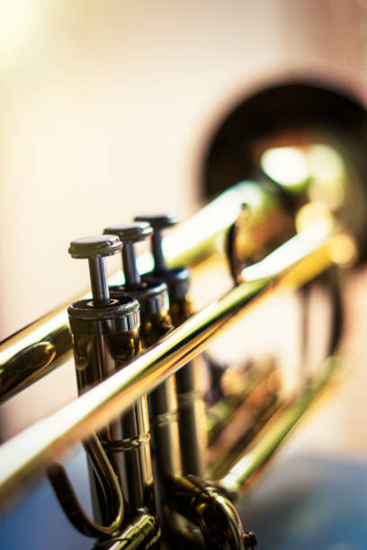 istock trompet valves on a blurry background 1173226131
