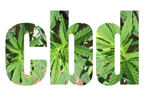 istock CBD Typography with marijuana leaves in the text isolated on white background 1173230431