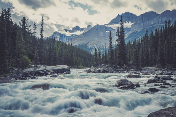 Long exposure of rapid waters in Mistaya Canyon on a cloudy day in Banff National Park, Alberta, Canada