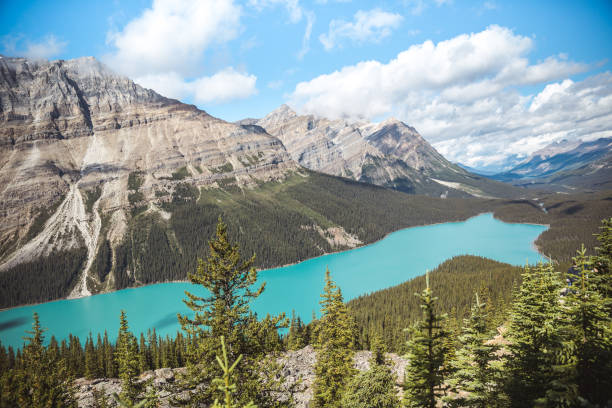 istock Peyto Lake, Banff National Park, Alberta, Canada 1173231467