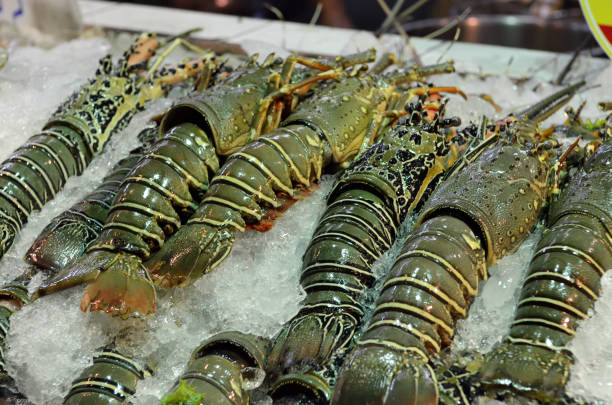 istock Delicious Phuket lobster 1173231528