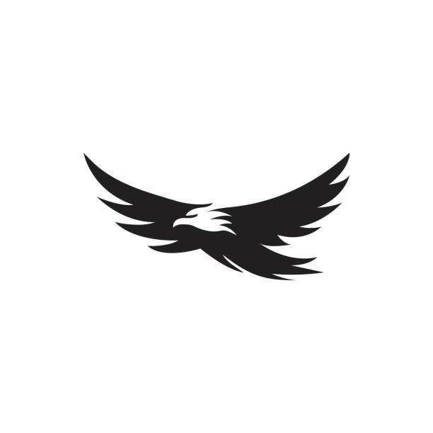 orzeł ptak negatywne miejsca. szablon ikony wektora - phoenix tattoo bird wing stock illustrations