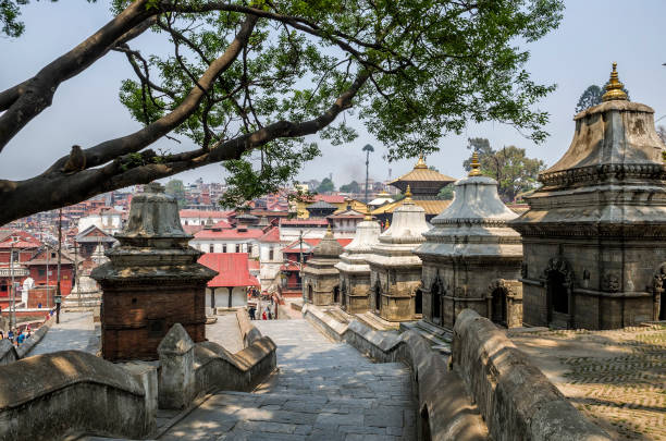 istock Pashupatinath Temple, Kathmandu, Nepal 1173235319