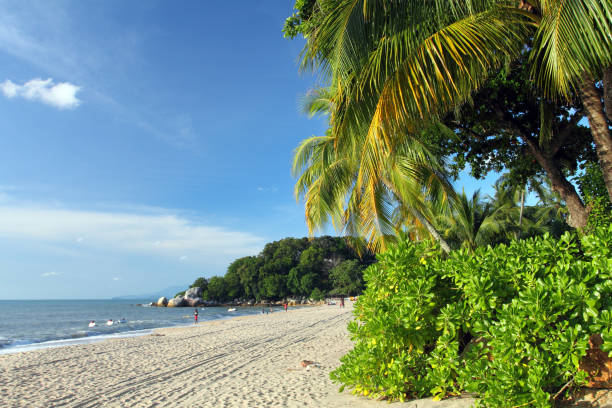 istock Sandy beach in Batu Ferringhi, Penang Island, Malaysia 1173235403
