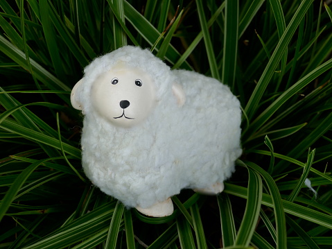 fluffy little lamb. Lonely lost cuddly toy on the way edge.