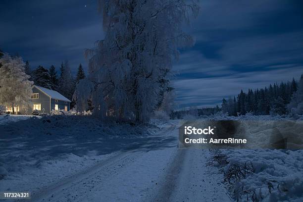 Inverno Notte Al Chiaro Di Luna - Fotografie stock e altre immagini di Notte - Notte, Casa, Neve