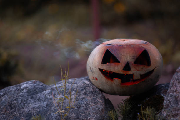 istock Halloween pumpkin in garden 1173243533