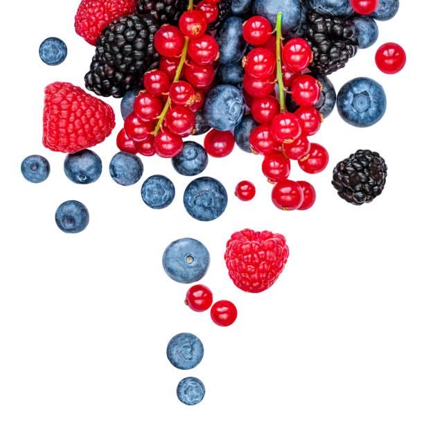 istock Isolated berries. Mixed Falling  berries isolated on white background. Raspberry, Blueberry, Blackberry and  red currant 1173244868