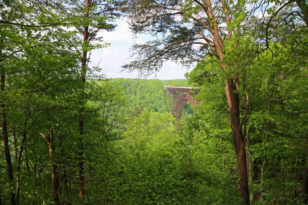 istock New River Gorge Bridge hidden in green 1173251012